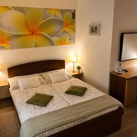 Boroka Panzio Bed & Breakfast