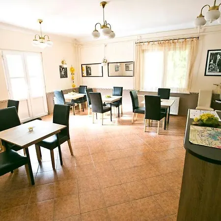 Boroka Panzio 3* Parád